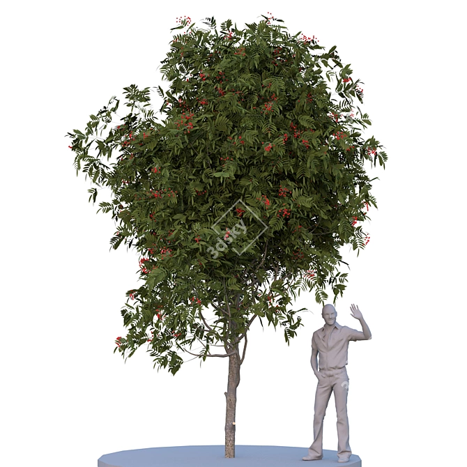 Poly Tree. Summer & Autumn Blend 3D model image 1