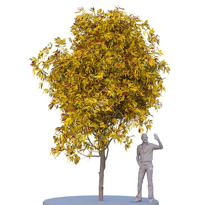 Poly Tree. Summer & Autumn Blend 3D model image 2