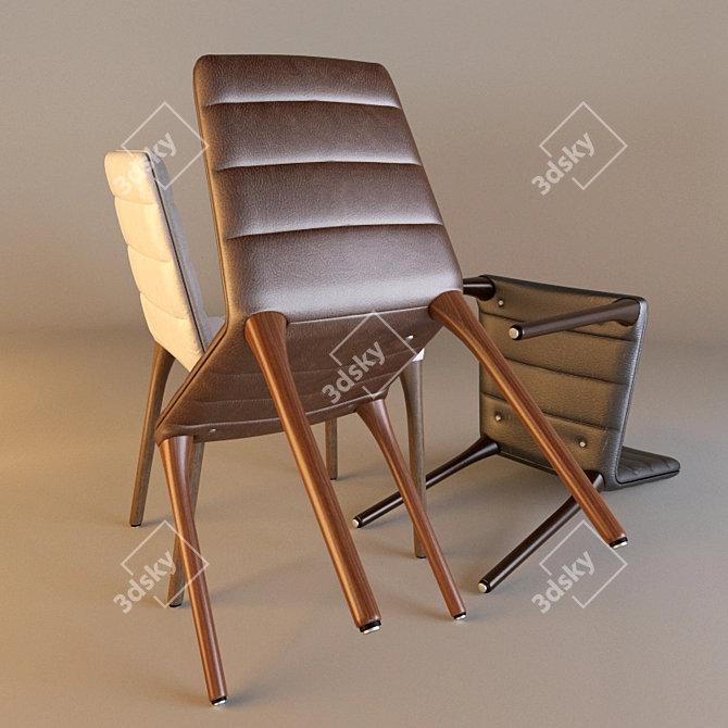 Tonon PIT 284.01 Leather Chair 3D model image 2