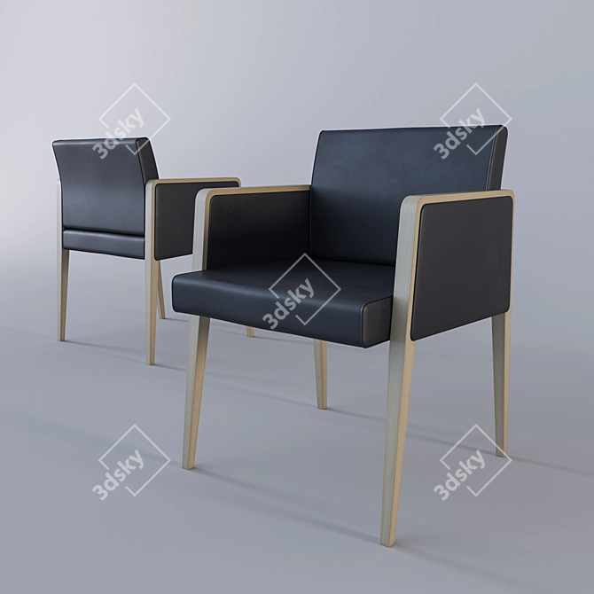 Fashionable and Functional JIL 525 3D model image 1