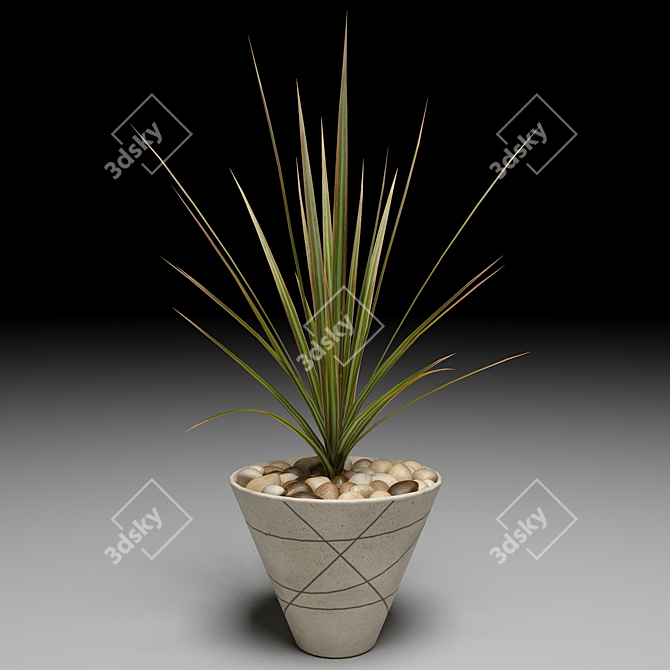 Lush Dracaena Marginata Tree 3D model image 1