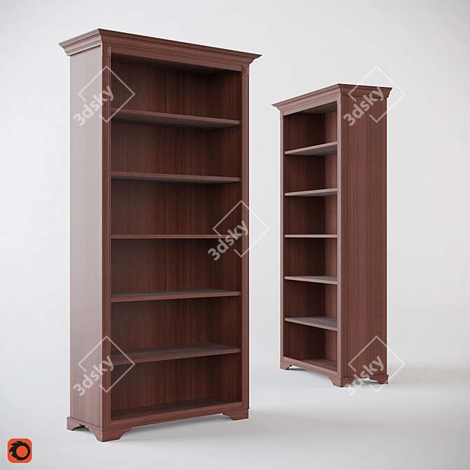 Sleek Book Rack Organizer 3D model image 1