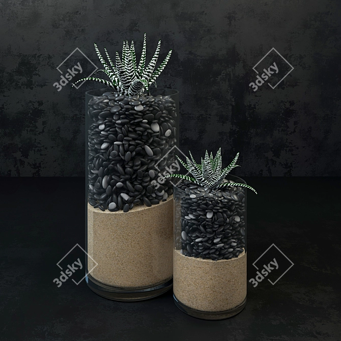 Haworthia Succulent Plant - Decorative Beauty 3D model image 1