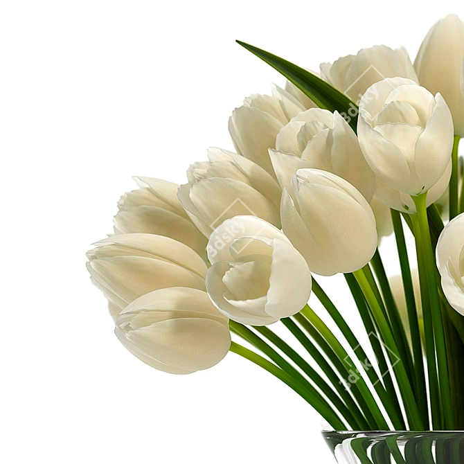 Radiant Tulip Blossom 3D model image 3