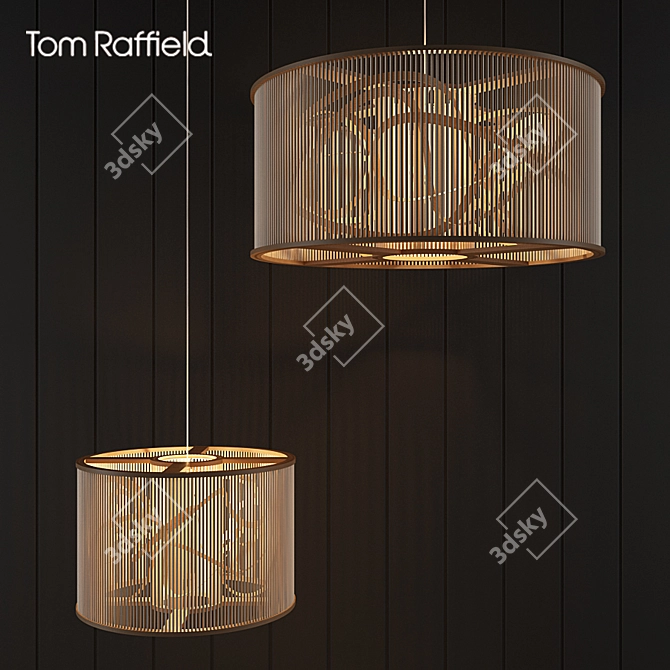 Tom Raffield Cage Pendant - Handcrafted Lighting 3D model image 1