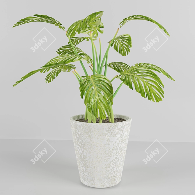 Tropical Dream: Monstera Plant 3D model image 1