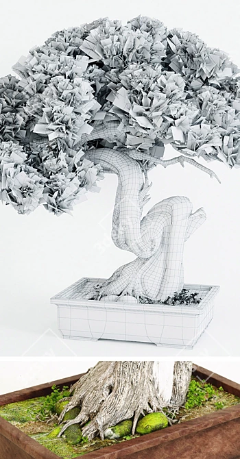 Handcrafted Bonsai Tree Sculpture 3D model image 3