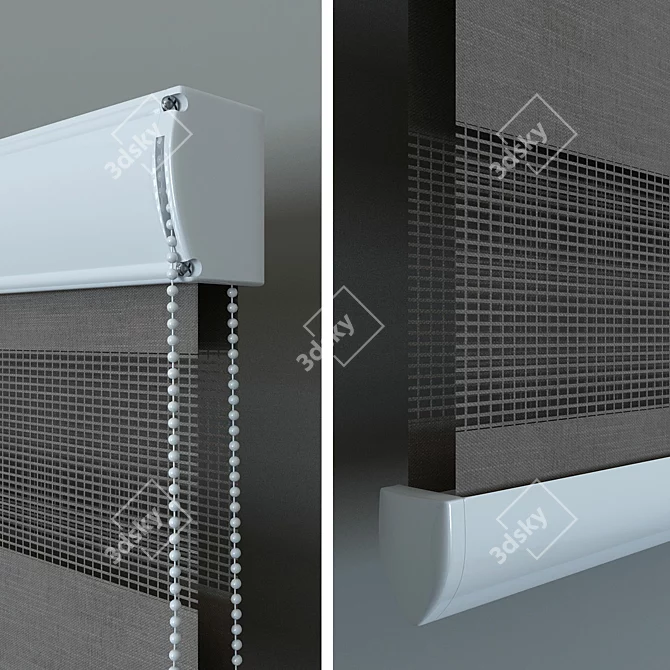 Day and Night Blinds: 4 Sizes Available 3D model image 3