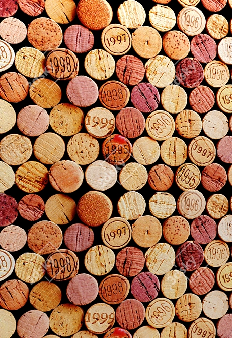 Wine Cork Wall Art 3D model image 2