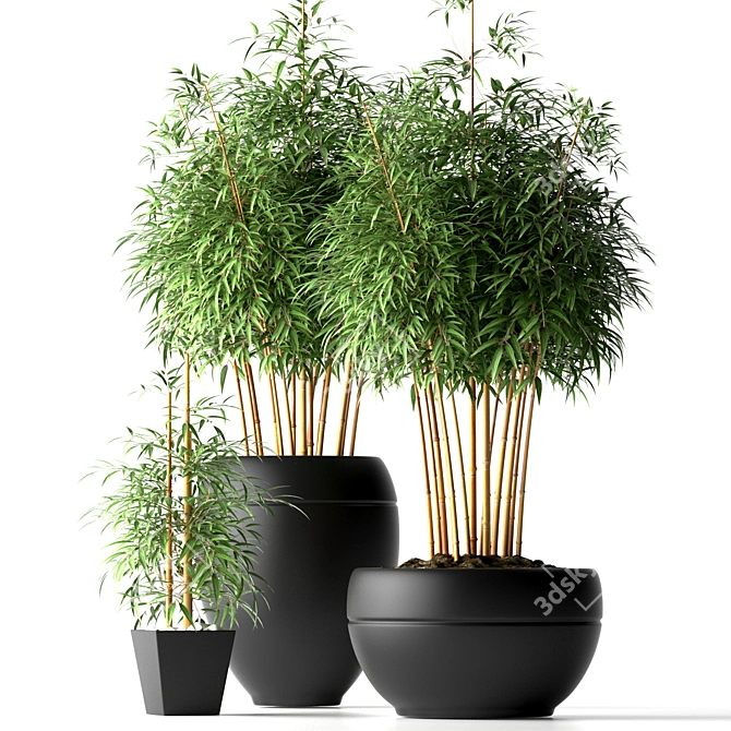 Lush Bamboo Paradise: 18 Varieties 3D model image 1