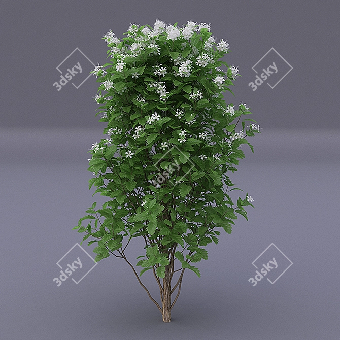 White Butterfly: Elegant and Graceful 3D model image 1