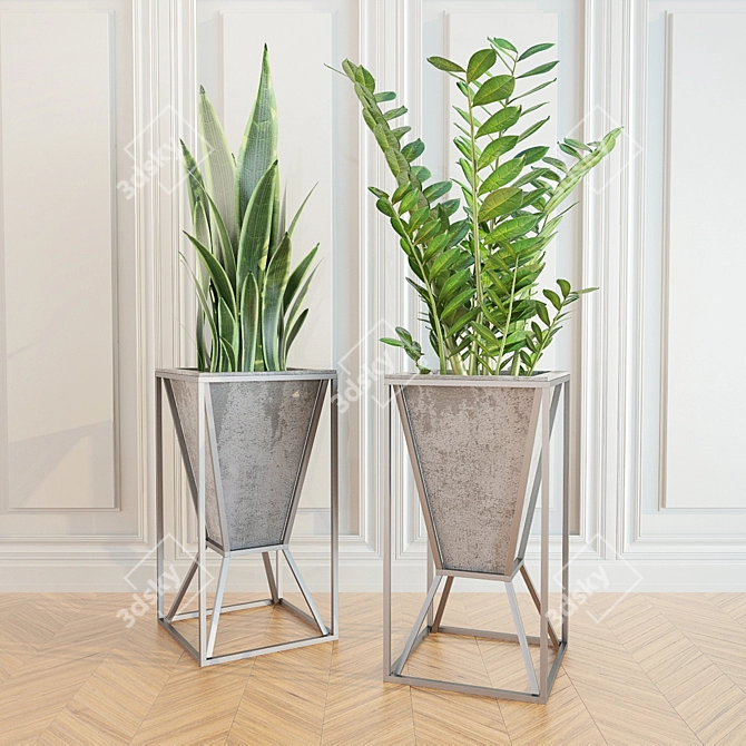 Hardy Indoor Plant: Zamioculcas sansevieria 3D model image 1