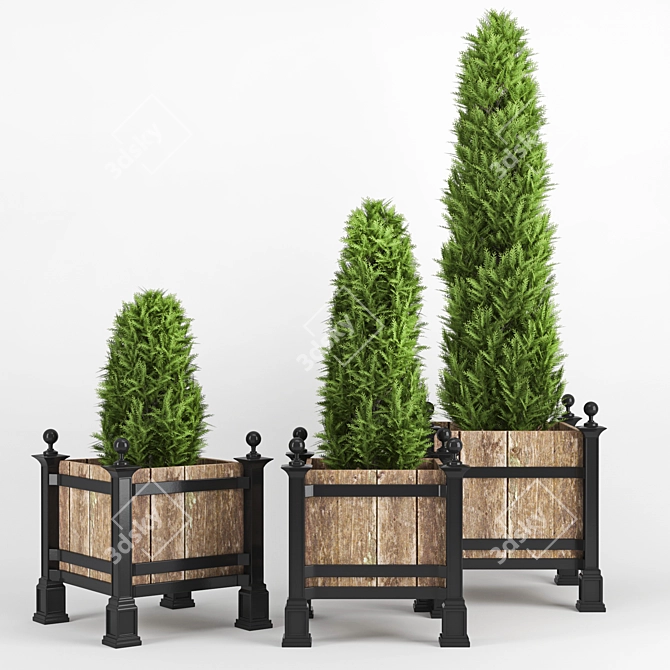 Thuja Occidentalis - High-quality 3D Plant 3D model image 1