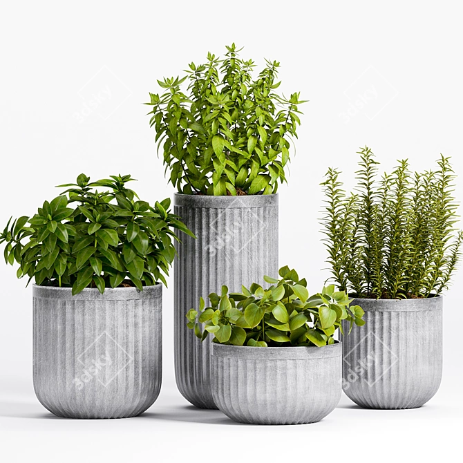 Exquisite Decorative Plant Set 3D model image 1