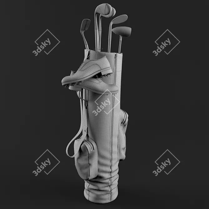 Classic Vintage Golf Bag 3D model image 2