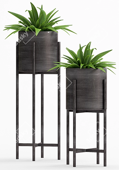 Green Oasis Decor Set 3D model image 3