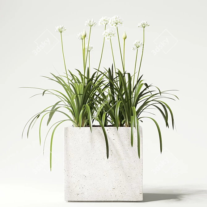 Onion Plant 3D model image 1