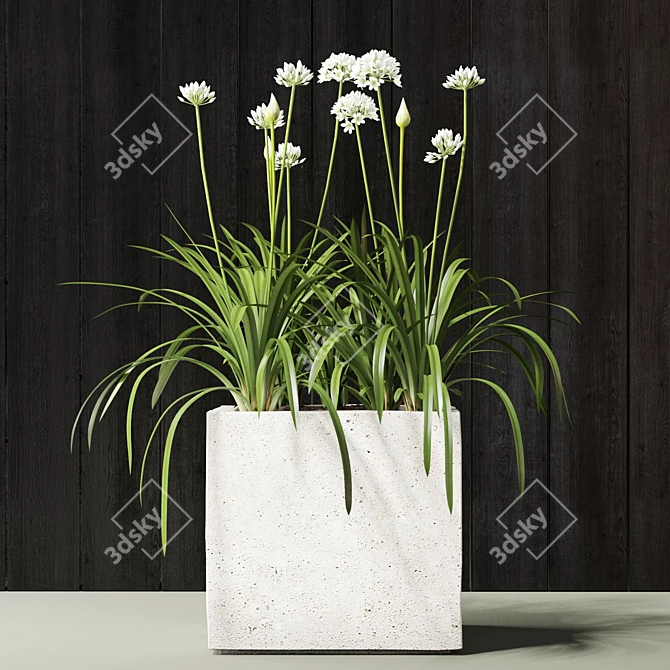 Onion Plant 3D model image 2