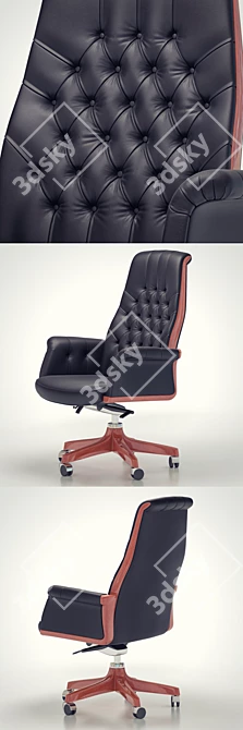 Elegant Opera_A Executive Chair 3D model image 2
