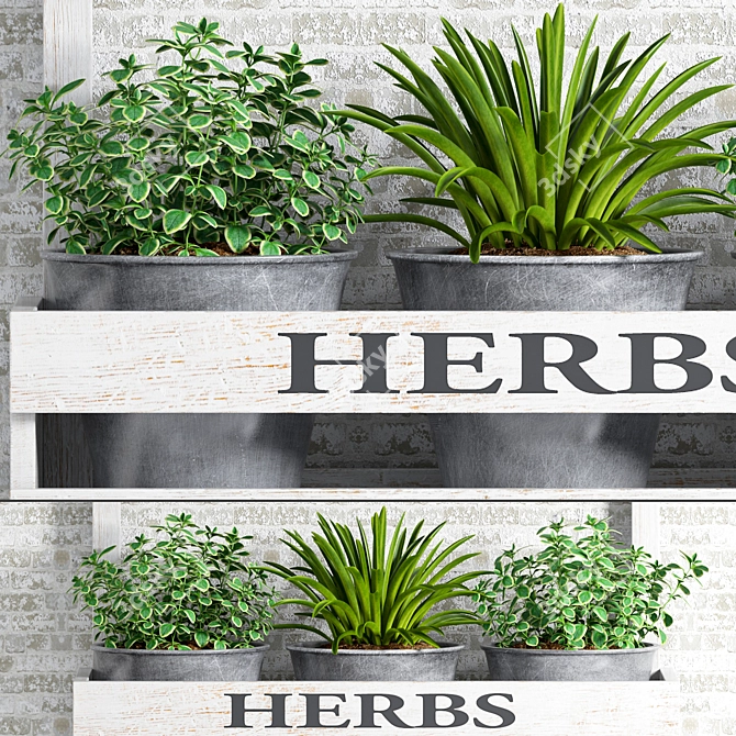 Sustainable Herb Plants 3D model image 3
