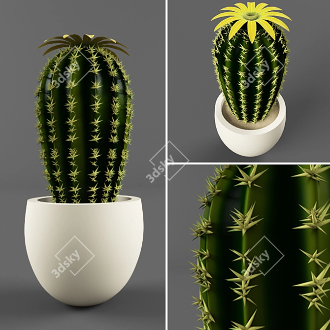 Blooming Cactus in Pot 3D model image 1