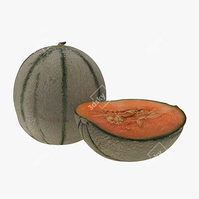 Juicy Melon: High-Quality 3D Model 3D model image 1