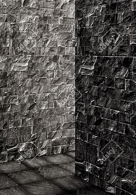 Slate Noir. Stone + Tile. 3D model image 3