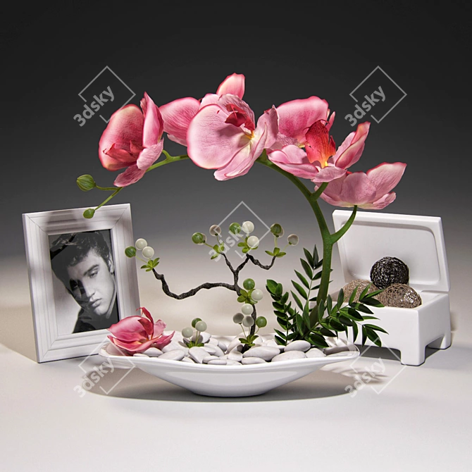 Title: Elegant Orchid Decor Set 3D model image 1