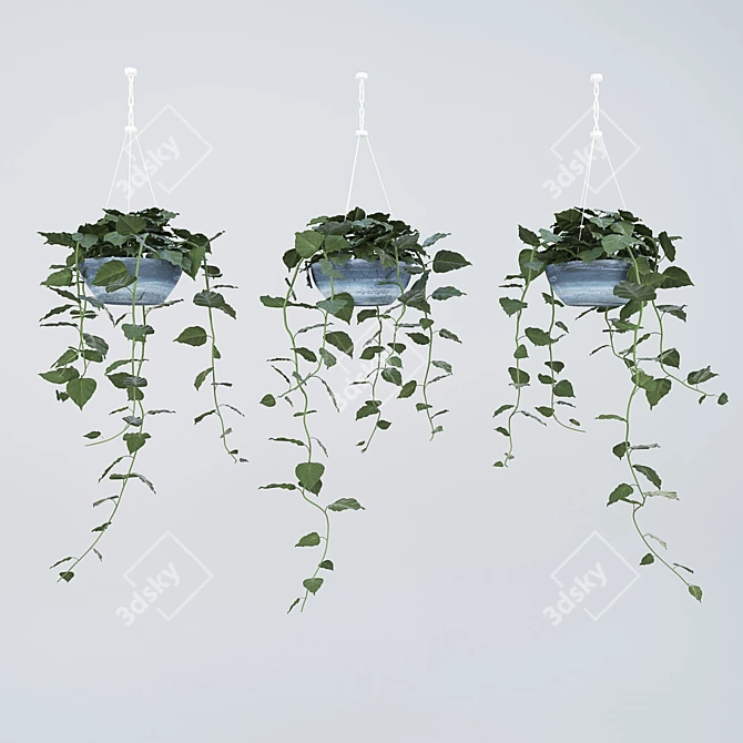 Tropical Philodendron: Hanging Indoor Plant 3D model image 1