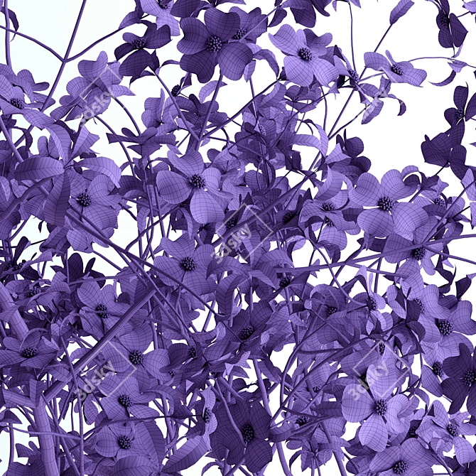 Realistic Pink Dogwood Blossom Branches 3D model image 3