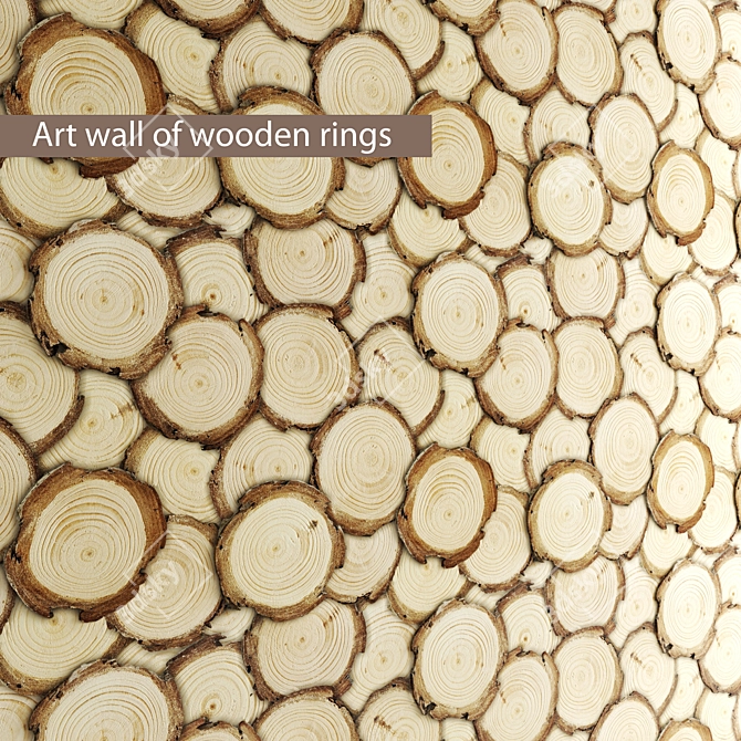 Wooden Ring Art Wall Decoration 3D model image 1