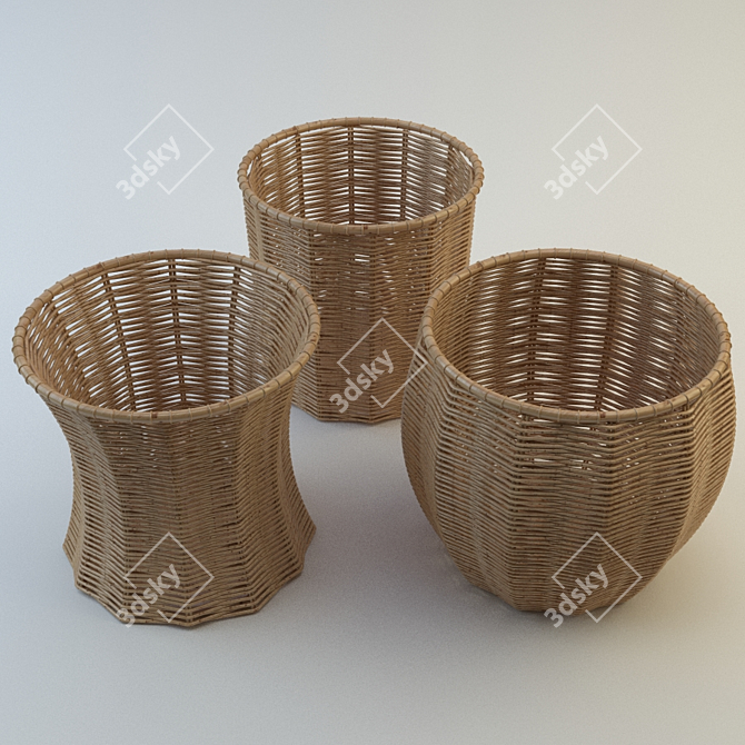 Natural Rattan Baskets: Rustic Storage Solution 3D model image 1