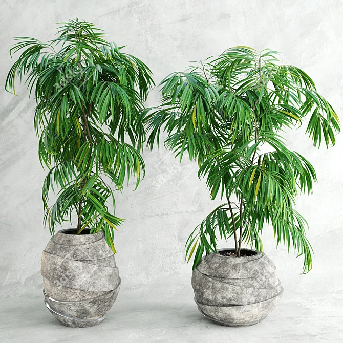 Title: Palma 3D Model Kit 3D model image 1
