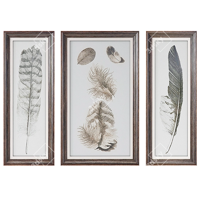 Feather Study Wall Art Trio 3D model image 1