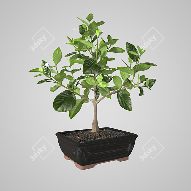 Elegant Gardenia Sculpture 3D model image 1