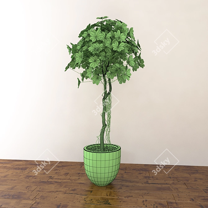 Title: Tropical Schefflera: Vibrant Foliage for Positive Vibes 3D model image 3