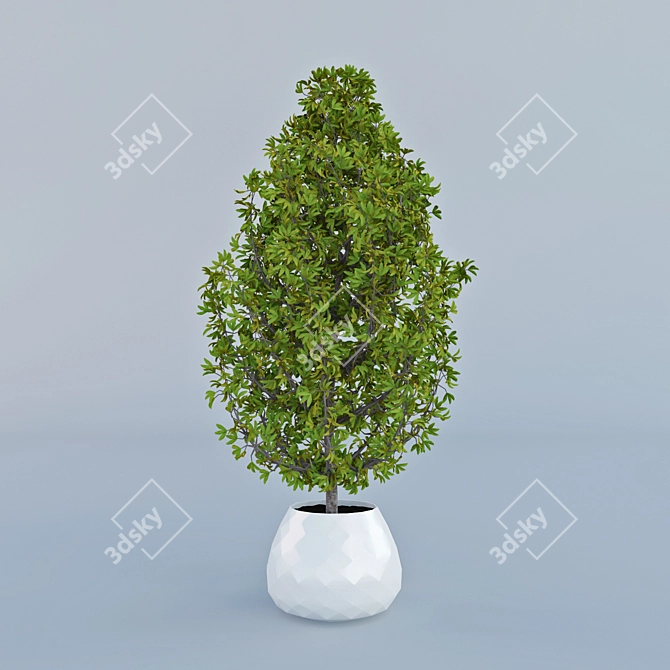 Elegant Potted Plant for Home Decor 3D model image 2