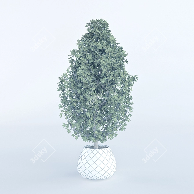 Elegant Potted Plant for Home Decor 3D model image 3