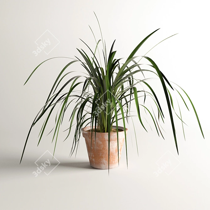 Polys 220,814 | Verts 219,425 | Outdoor Plant 3D model image 1