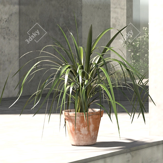 Polys 220,814 | Verts 219,425 | Outdoor Plant 3D model image 2