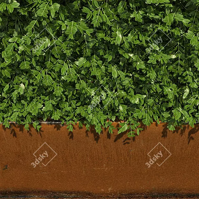 Rustic Metal High Hedges 3D model image 2