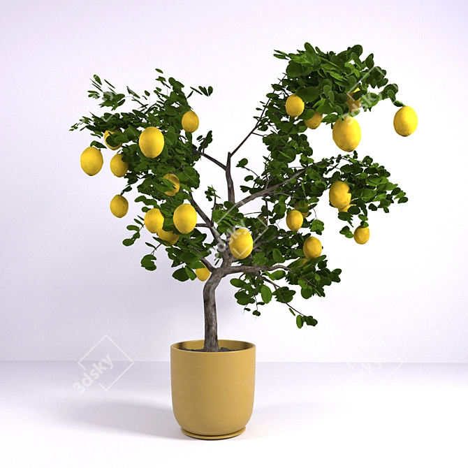 Lively Lemon Tree 3D model image 1