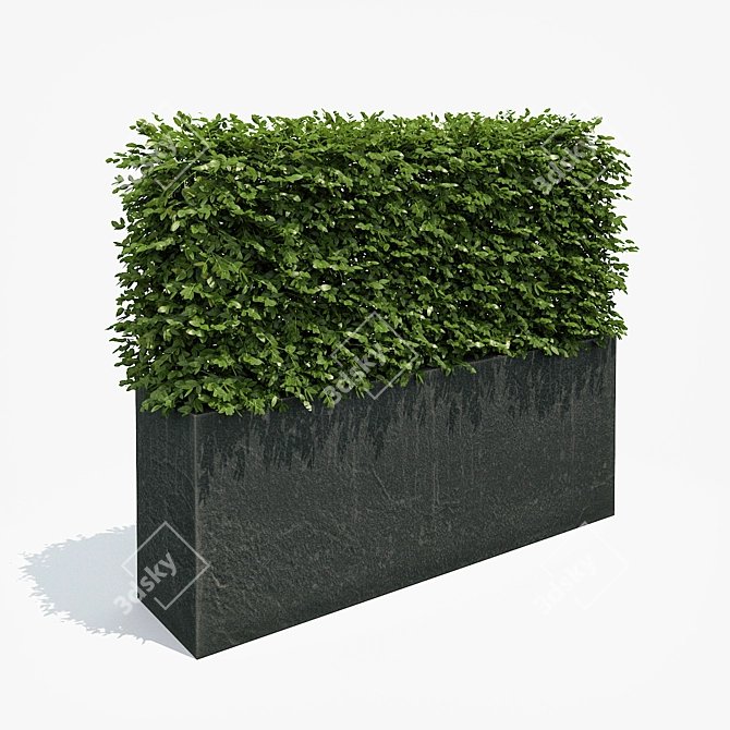 Sleek Black Hedge Planter 3D model image 1