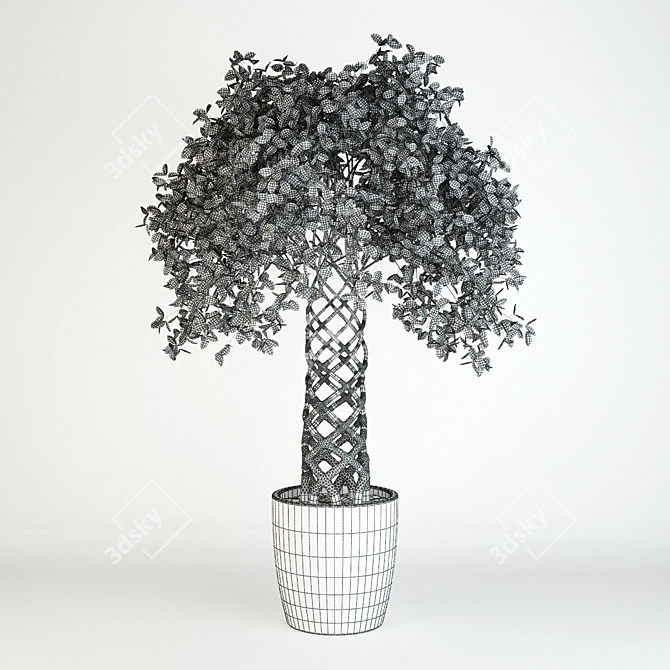 Vintage Fikus: 1950mm Height 3D model image 2