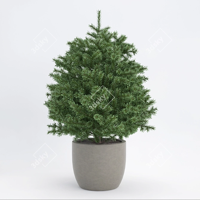 Elevated Fir Sculpture 3D model image 1