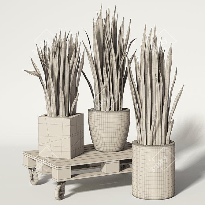 Rolling Sansevieria: Convenient and Stylish 3D model image 3