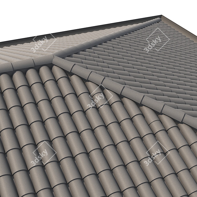 Authentic Italian Tile Roof 3D model image 3