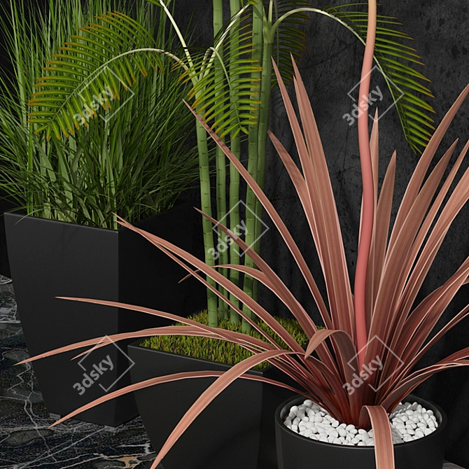 Indoor Plants Set 06 3D model image 2