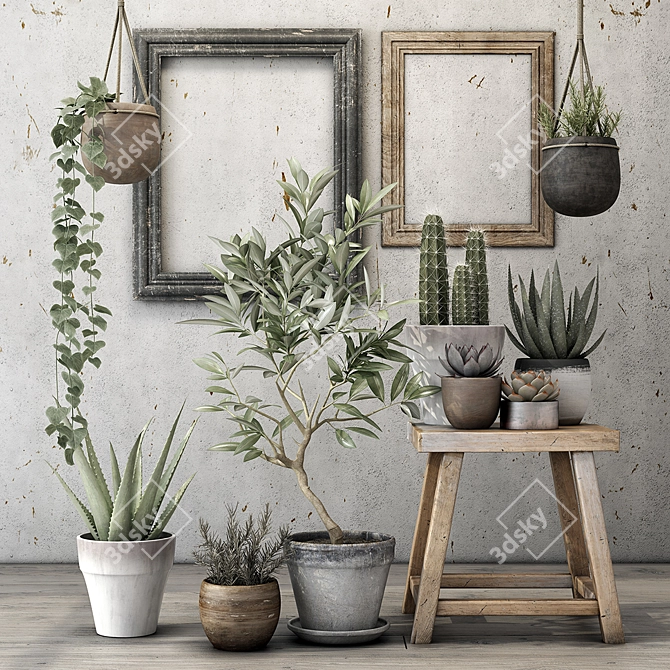 Minimalist Plant Décor Set 3D model image 1