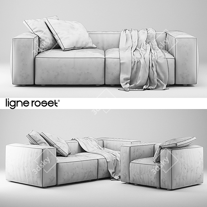 Elegant Ligne Roset Nils Seating Set 3D model image 2